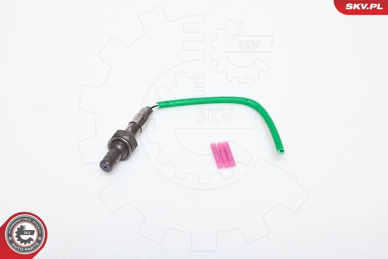Oxygen Sensor